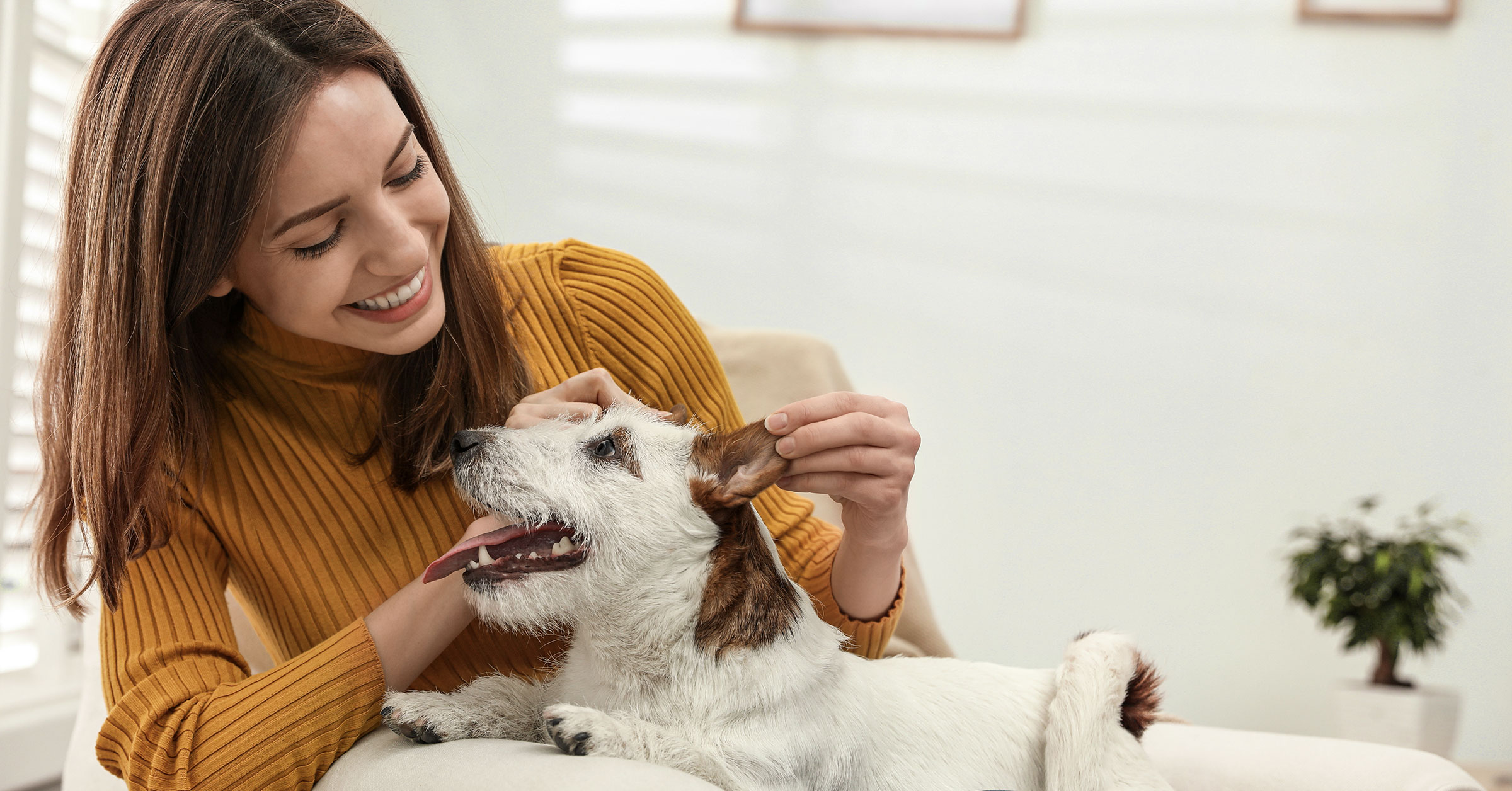 Tasker performing a Dog Care job.