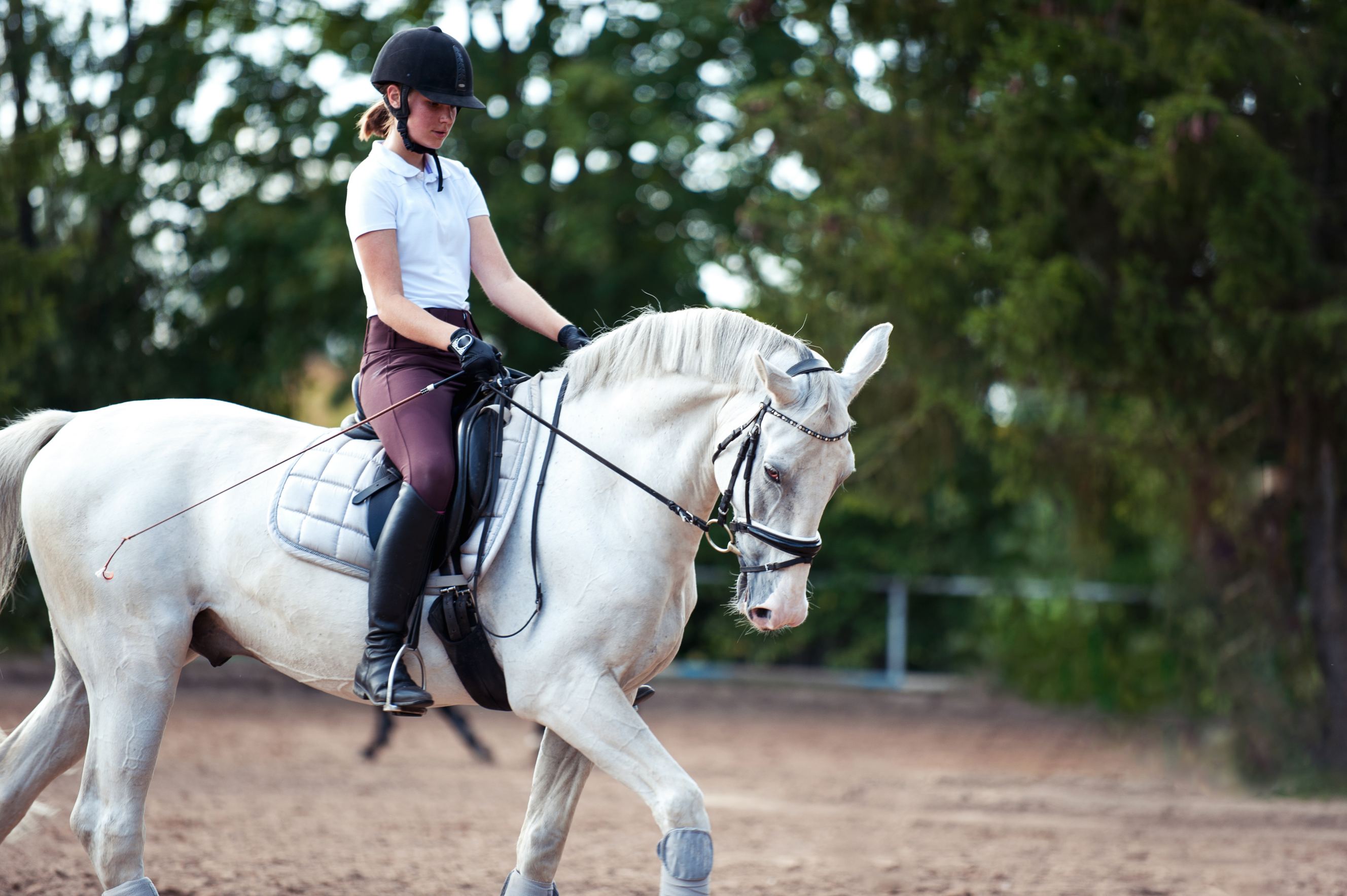 Tasker performing a Horse Trainer job.