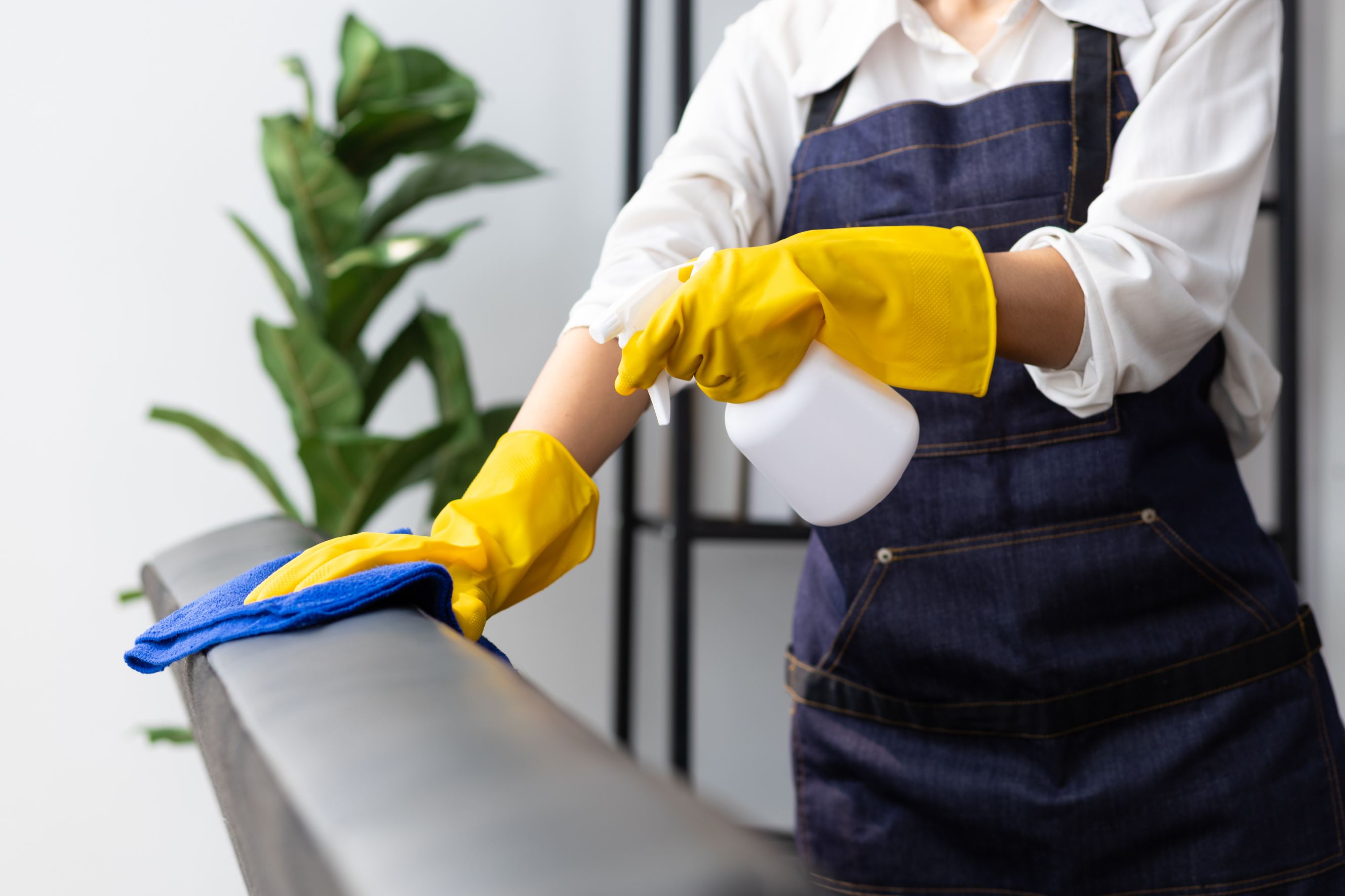 Maid Service